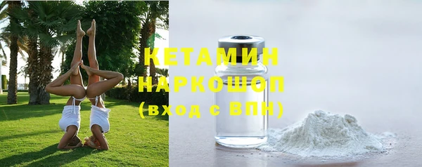 дживик Сясьстрой