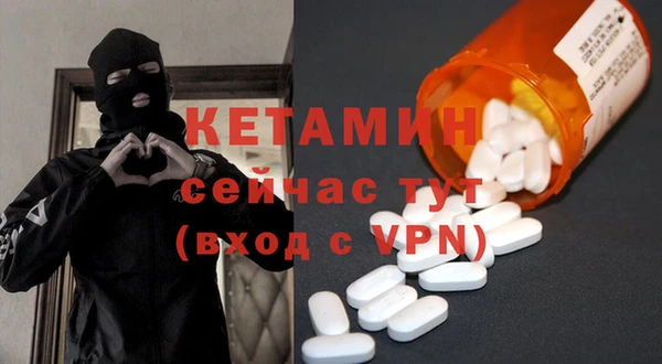 крисы Тайга