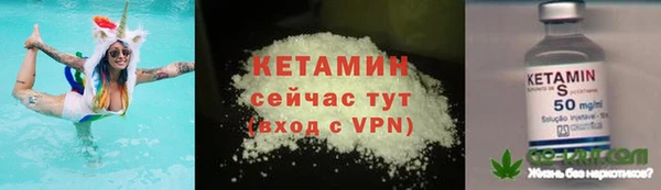 дживик Сясьстрой