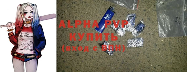 прущие грибы Волоколамск