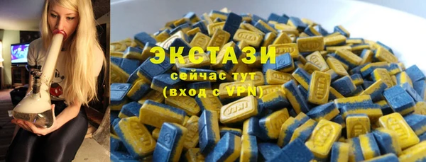 крисы Тайга