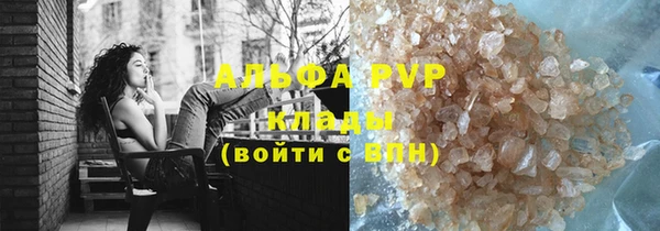 прущие грибы Волоколамск