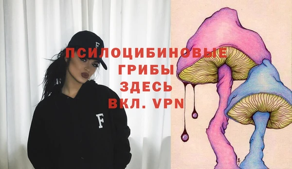 крисы Тайга